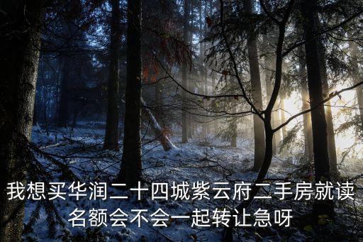 我想買華潤二十四城紫云府二手房就讀名額會不會一起轉讓急呀