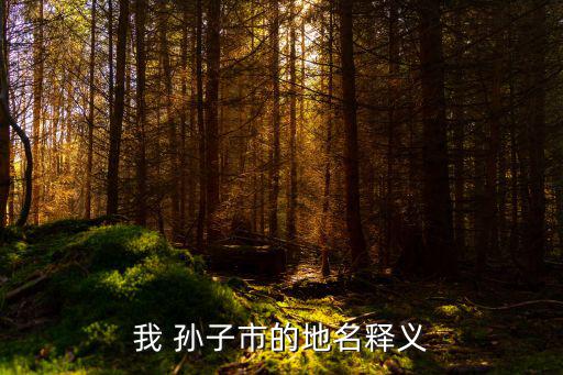 我孫子,日本愛知縣出現孫孫子讀音相同
