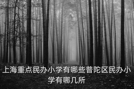 上海市普陀區有沒有幾家民辦小學，上海重點民辦小學有哪些普陀區民辦小學有哪幾所