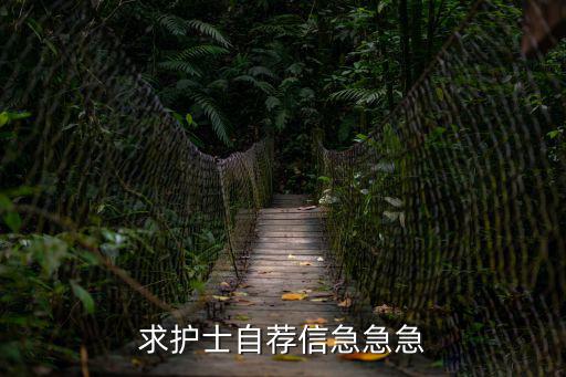 求護(hù)士自薦信急急急