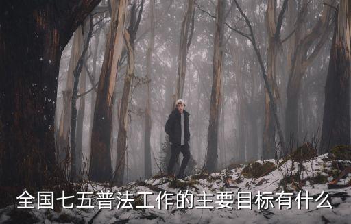 全國七五普法工作的主要目標有什么