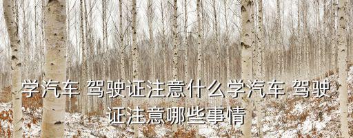 學汽車 駕駛證注意什么學汽車 駕駛證注意哪些事情