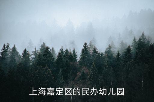 上海嘉定區的民辦幼兒園