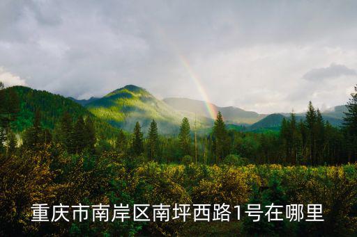 重慶市南岸區(qū)南坪鎮(zhèn)南濱西路1號，南坪區(qū)南坪街道南坪西路166號在哪里