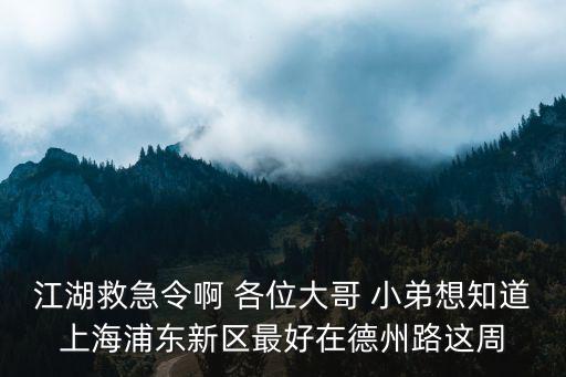 江湖救急令啊 各位大哥 小弟想知道上海浦東新區最好在德州路這周