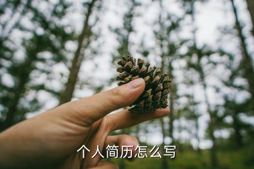 個(gè)人簡(jiǎn)歷怎么寫