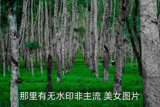 那里有無水印非主流 美女圖片