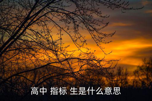 指標生是什么意思,高中指標學生計劃部分中學畢業(yè)生可報名參加