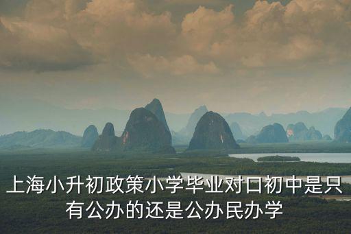 上海小升初政策小學畢業對口初中是只有公辦的還是公辦民辦學