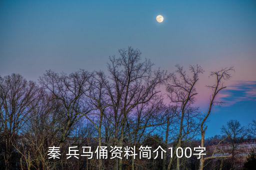 兵馬俑介紹,秦兵馬俑陪葬陜西秦皇陵出土文物