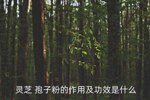  靈芝 孢子粉的作用及功效是什么