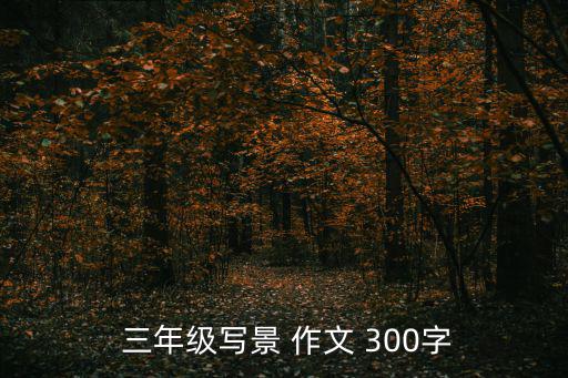 小學三年級作文300字