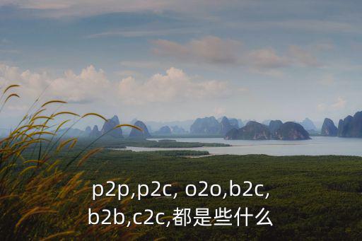 衛浴o2o案例,四種家居電商模式迅速成形包括天貓和ayay