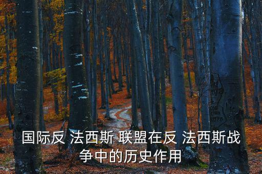 國際反 法西斯 聯盟在反 法西斯戰爭中的歷史作用