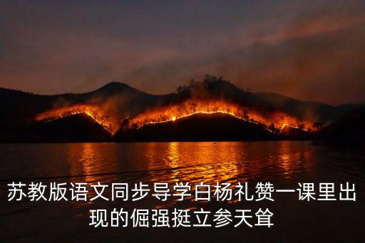 白楊禮贊教學設計，蘇教版語文同步導學白楊禮贊一課里出現的倔強挺立參天聳