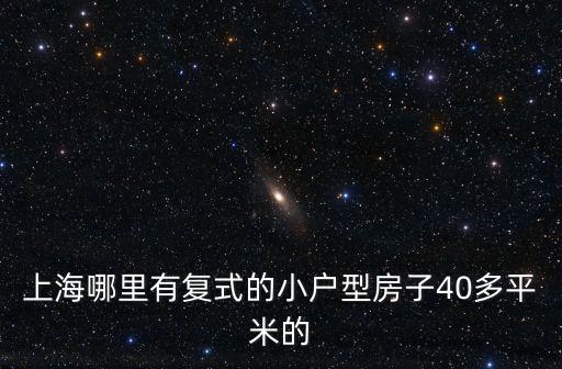 上海哪里有復式的小戶型房子40多平米的