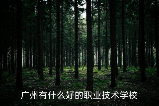 廣州有什么好的職業(yè)技術學校