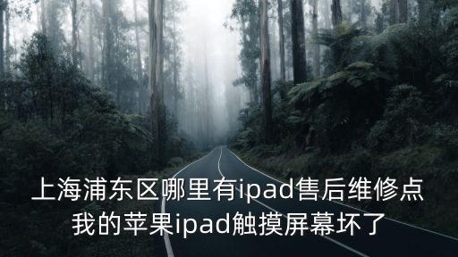 上海浦東區哪里有ipad售后維修點我的蘋果ipad觸摸屏幕壞了