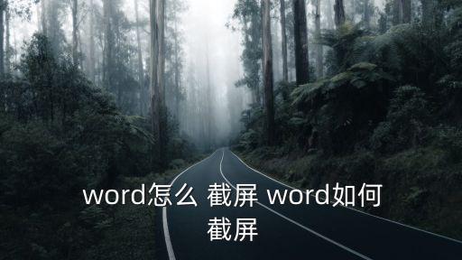  word怎么 截屏 word如何 截屏