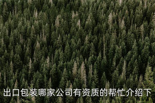出口包裝哪家公司有資質(zhì)的幫忙介紹下