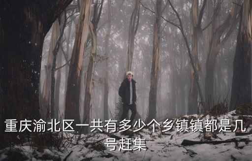重慶市渝北區(qū)任禮慧，重慶渝北區(qū)廣播電視臺(tái)臺(tái)長(zhǎng)叫什么