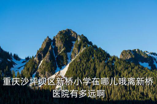 重慶沙坪壩區新橋小學在哪兒哦離新橋醫院有多遠啊