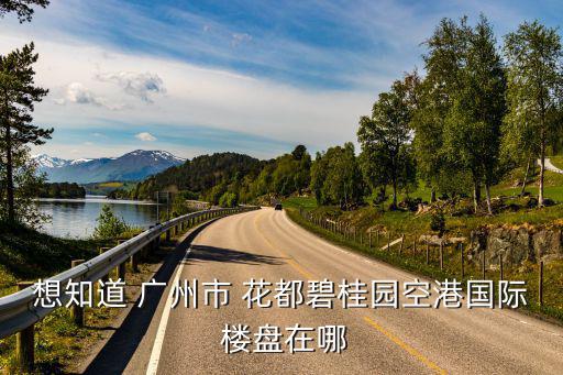 想知道 廣州市 花都碧桂園空港國際 樓盤在哪
