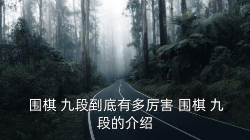 圍棋九段,圍棋段位由來(lái):職業(yè)和業(yè)余棋手劃分段位已經(jīng)模糊