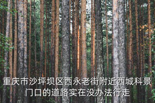 重慶市沙坪壩區西永老街附近西城科景門口的道路實在沒辦法行走