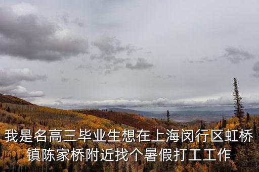 我是名高三畢業(yè)生想在上海閔行區(qū)虹橋鎮(zhèn)陳家橋附近找個暑假打工工作