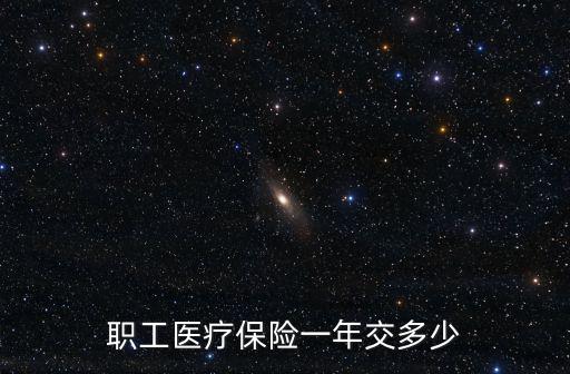 職工醫療保險一年交多少