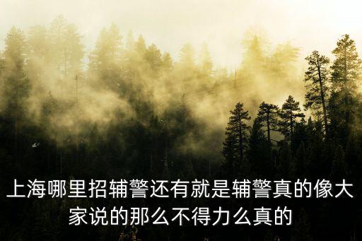 上海市有輔警嗎都是保安吧，上海的交警去哪里了怎么現在都是輔警