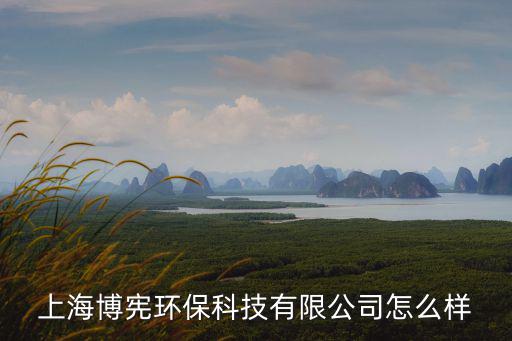 上海博憲環保科技有限公司怎么樣