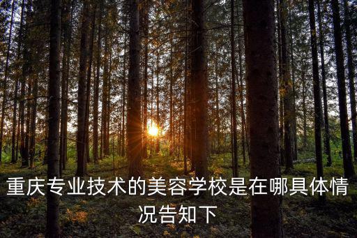 重慶專業技術的美容學校是在哪具體情況告知下