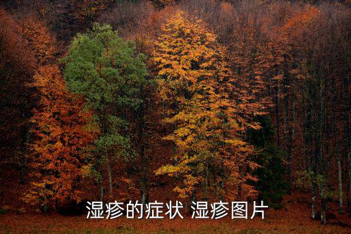  濕疹的癥狀 濕疹圖片