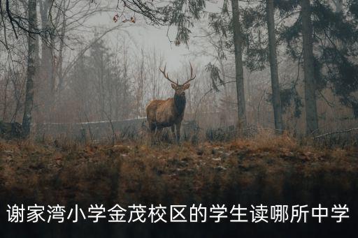 謝家灣小學金茂校區(qū)的學生讀哪所中學