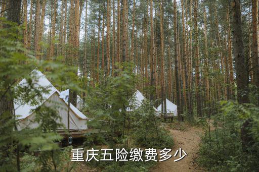 重慶五險繳費(fèi)多少