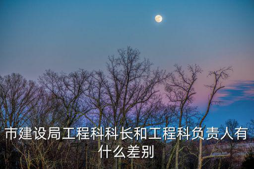 市建設局工程科科長和工程科負責人有什么差別