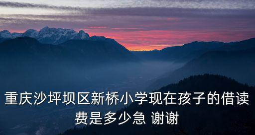 重慶沙坪壩區新橋小學現在孩子的借讀費是多少急 謝謝