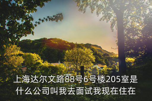 上海達爾文路88號6號樓205室是什么公司叫我去面試我現在住在