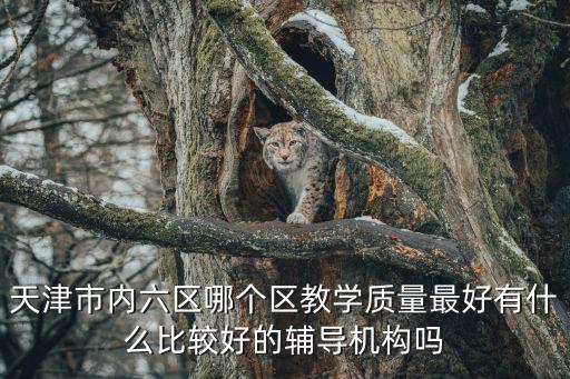 天津市內六區哪個區教學質量最好有什么比較好的輔導機構嗎