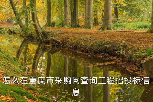 怎么在重慶市采購網查詢工程招投標信息