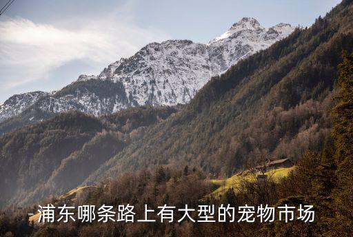 上海市浦東新區動物市場地址，浦東哪里有狗市場詳細地址