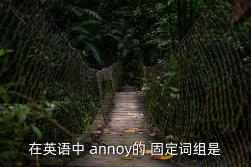 在英語(yǔ)中 annoy的 固定詞組是