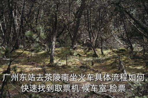 廣州東站去茶陵南坐火車具體流程如何快速找到取票機 候車室 檢票