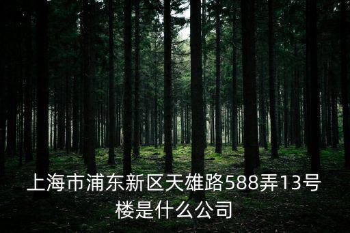 上海市浦東新區天雄路588弄13號樓是什么公司
