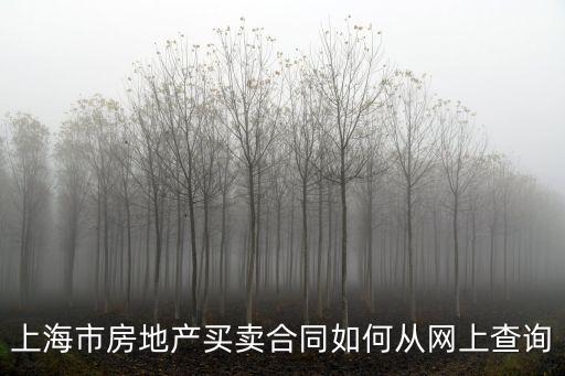 上海市房地產買賣合同如何從網上查詢