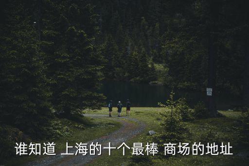 誰知道 上海的十個最棒 商場的地址