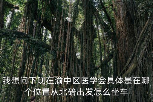 重慶市醫學會是個什么組織，重慶有哪些行業協會