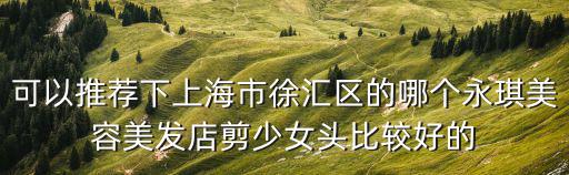 上海市的匠人發(fā)廊，可以推薦下上海市徐匯區(qū)的哪個(gè)永琪美容美發(fā)店剪少女頭比較好的